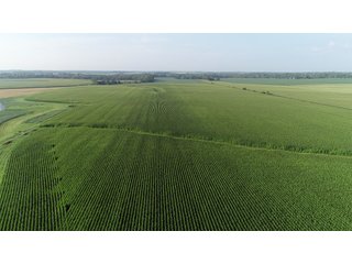 Union County, Indiana Farmland - REAL ESTATE AUCTION - 805+/- ACRES IN 11 TRACTS IN UNION COUNTY, INDIANA